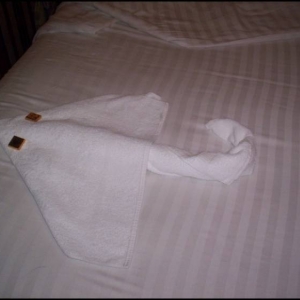 Towel Sting Ray