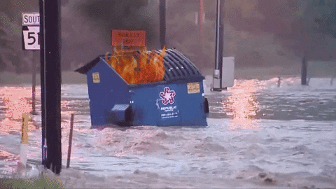Dumpster Fire GIF by MOODMAN - Find & Share on GIPHY | Dumpster fire,  Giphy, Funny gif