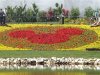 Epcot Mickey flowers.JPG