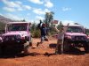 Pink Jeep Drivers.jpg