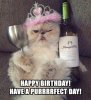 have-a-purrrrfect-day-cat-birthday-meme-1.jpg