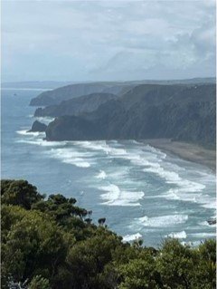 Day 1 Piha DG.jpg