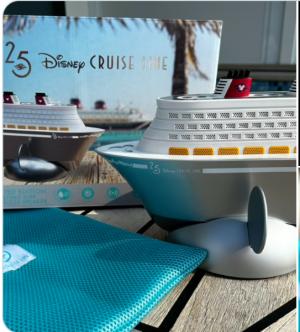 25th Anniversary Ship Speaker | The DIS Disney Discussion Forums -  DISboards.com