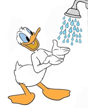 donald_duck_ready_to_take_a_shower_by_mrbertstown_df378q3-fullview.jpg