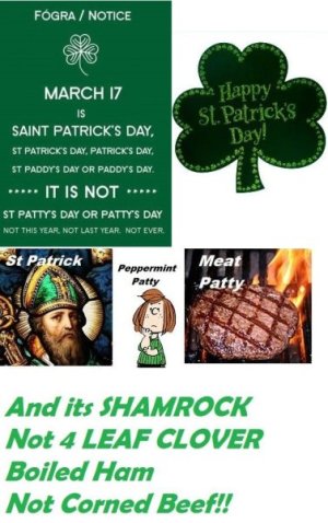 st patricks day 4.jpg