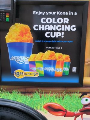 AQ - Kona Ice (2) May 2023.jpg