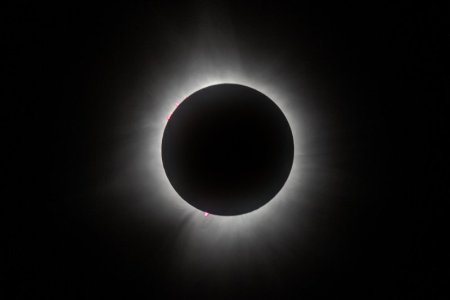 eclipse2024_kimmcdaniel_H.jpg