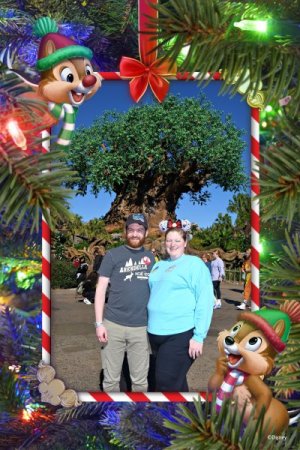 2023-12-18 - Disneys Animal Kingdom Park - The tree of life_16.jpeg