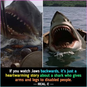 meme jaws.jpg