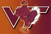 Hokie20