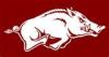 Razorback family