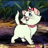 disneycat321