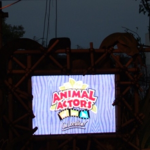 Animal Actors on Location