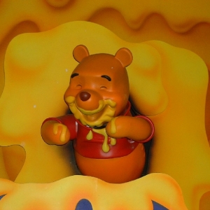 Winnie The Pooh