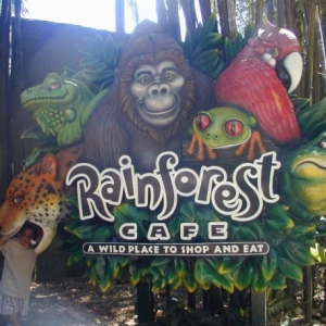 Rainforest Cafe@ Animal Kingdom