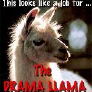 Drama_Llama