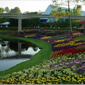 Epcot, flower and garden festival