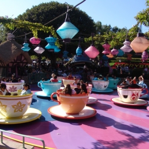 Fantasyland-Disneyland-16