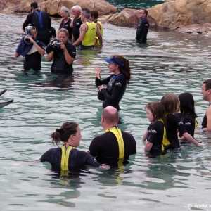 Discovery_Cove_Dolphin_Encounter_09