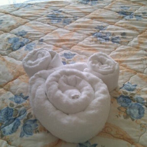 Towel Mickey