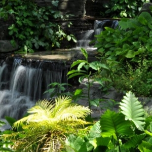 Peaceful waterfall