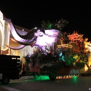 Mardi-Gras-Universal-Orlando-079