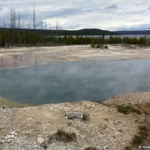 4-West-Thumb-Geyser-Basin-016