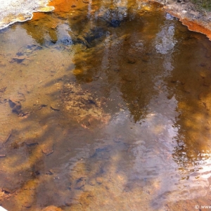 4-West-Thumb-Geyser-Basin-022