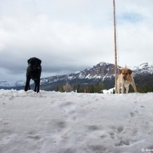 8-Brooks-Lake-Lodge-030