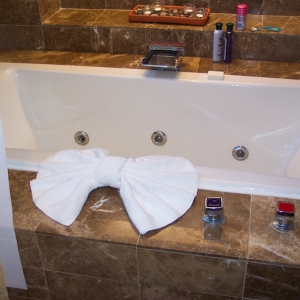 WL honeymoon Suite Tub