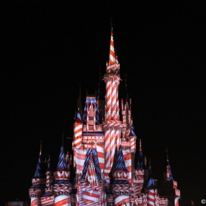 MVMCP-2011-081