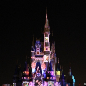 MVMCP-2011-084