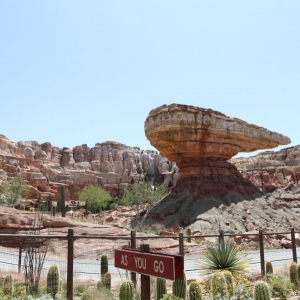 Radiator-Springs-Racers-059