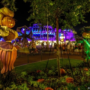 MNSSHP-2013-22