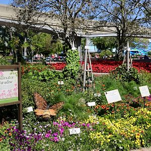 Flower-Garden-Festival-2017-115