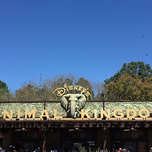 Animal-kingdom - 1