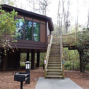 Saratogatreehouse2