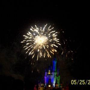 Wishes Fireworks4