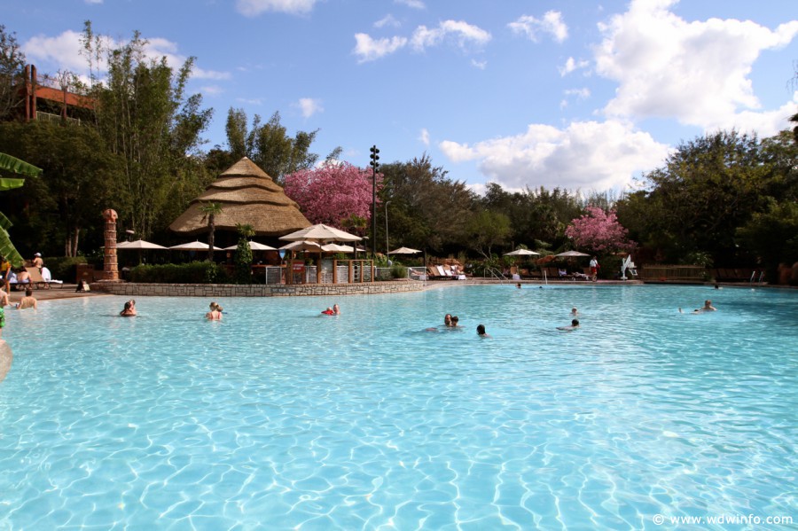 animal kingdom lodge pool bar