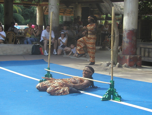 Limbo Lower - Animal Kingdom