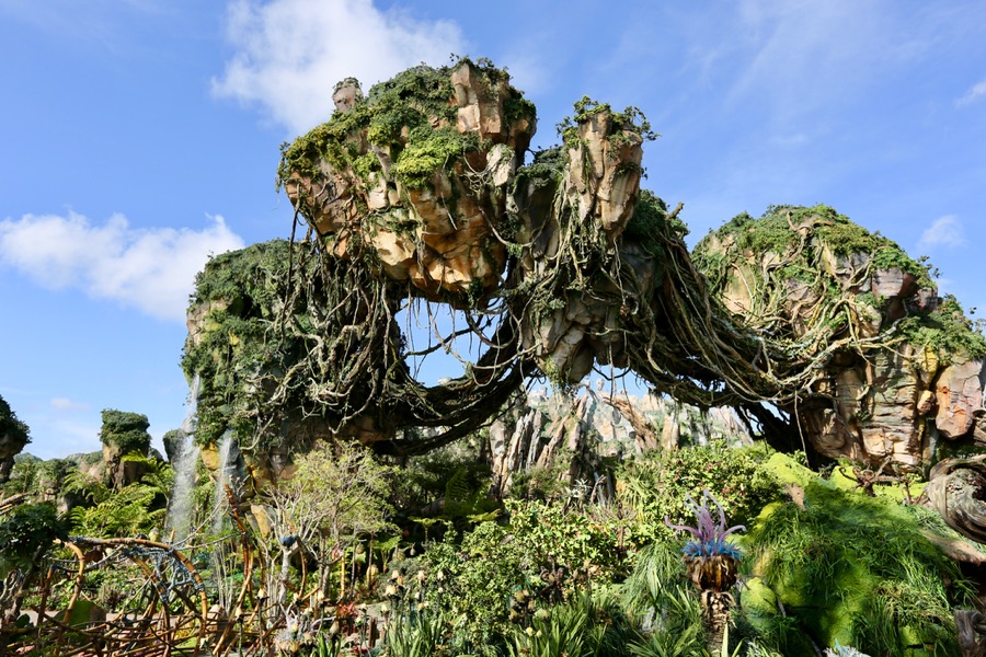 Pics: Pandora - World of Avatar at Disney's Animal Kingdom