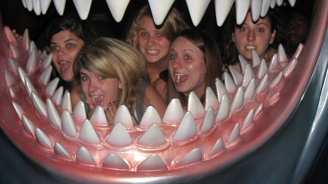 Shark Attack! :)
