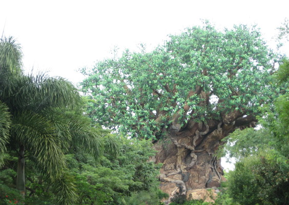 Tree of Life