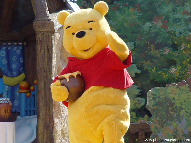 Winnie the Pooh show