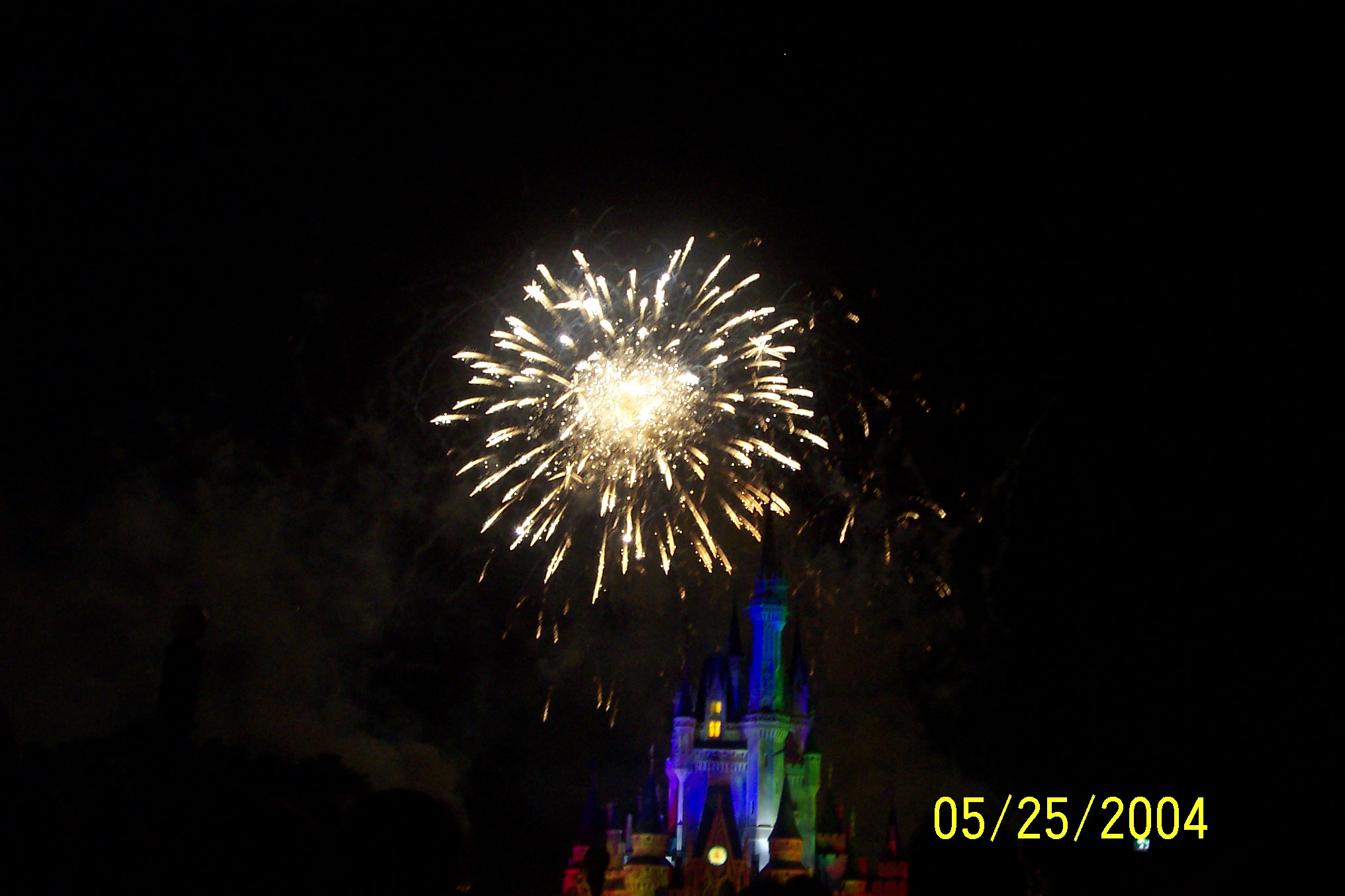 Wishes Fireworks4