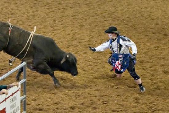 rodeo-bull-and-clown.jpg