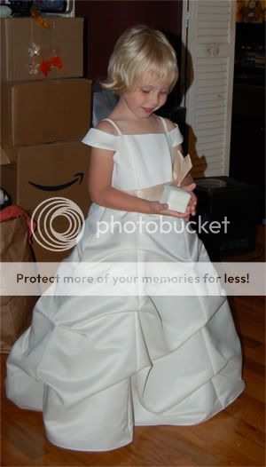 FlowerGirlDress.jpg