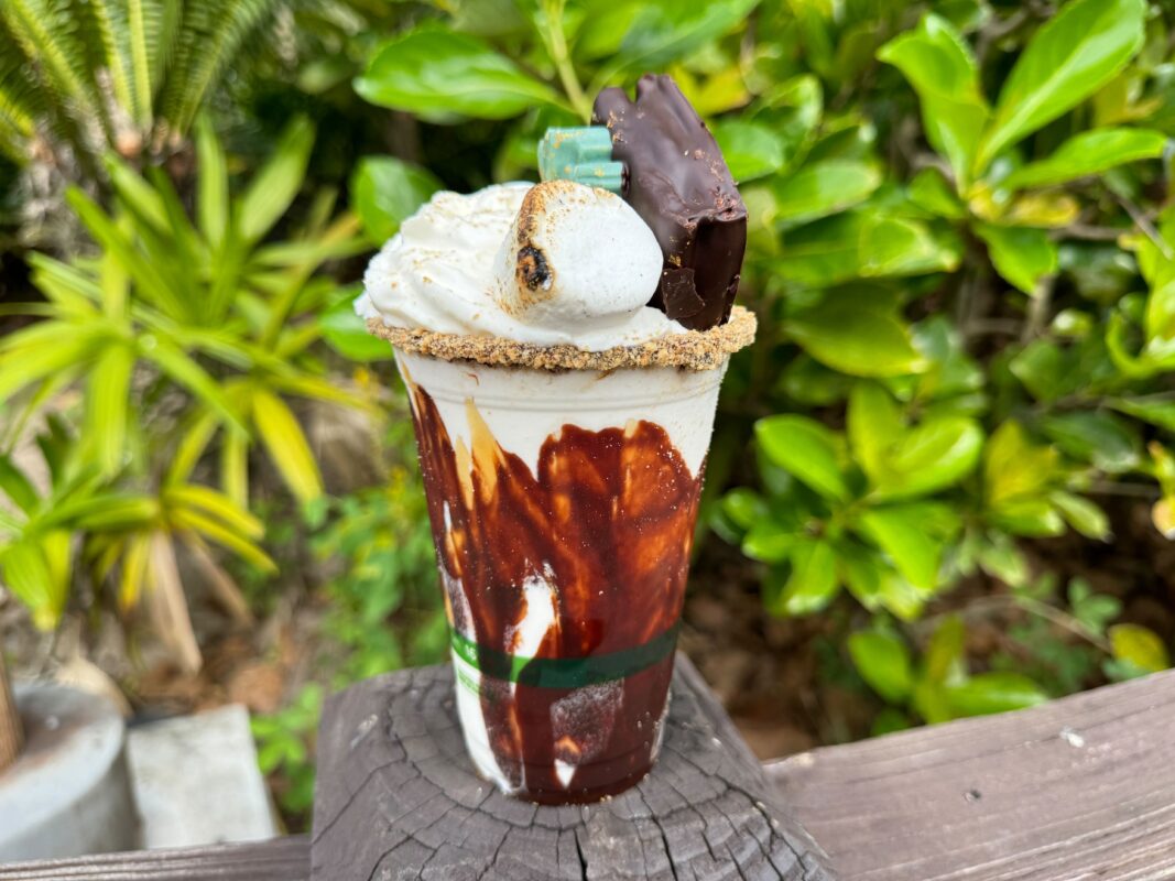 Side of s'mores milkshake'mores milkshake