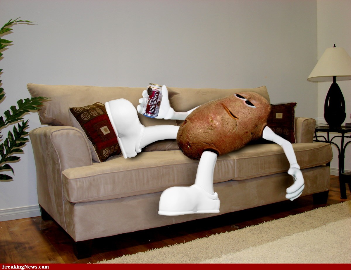 couch-potato-78527.jpg