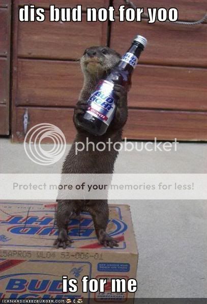 funny-pictures-greedy-otter-beer-bu.jpg
